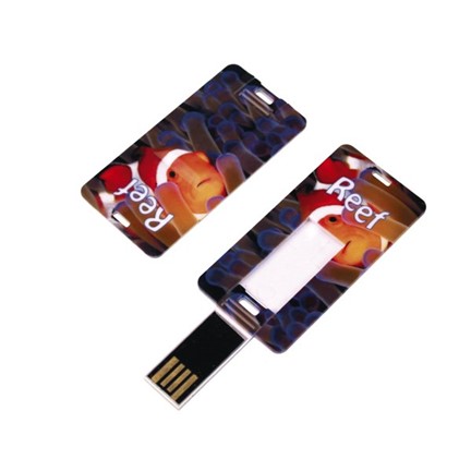 Card Tag USB FlashDrive Blauw