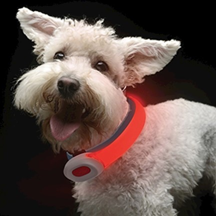 Visto PetSaber Dog Collar Petit - red